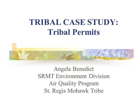 TRIBAL CASE STUDY: Tribal Permits Angela Benedict SRMT Environment Division Air Quality Program St. Regis Mohawk Tribe.