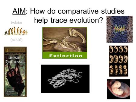 AIM: How do comparative studies help trace evolution?