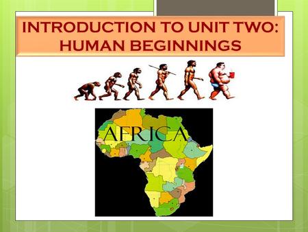 IMAGES OF THE GREAT RIFT VALLEY in AFRICA LUCY Australopithecus afarensis Found in 1974 3.2 million years old Named after the Beatles song Lucy in the.