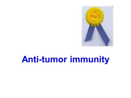 Anti-tumor immunity. Malignant transformation  Failure of regulation of cell division and regulation of social behavior of the cells  The uncontrollable.