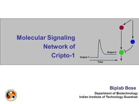 Department of Biotechnology Indian Institute of Technology Guwahati Molecular Signaling Network of Cripto-1 Biplab Bose.