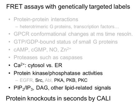 FRET assays with genetically targeted labels Protein-protein interactions –heterotrimeric G proteins, transcription factors… GPCR conformational changes.