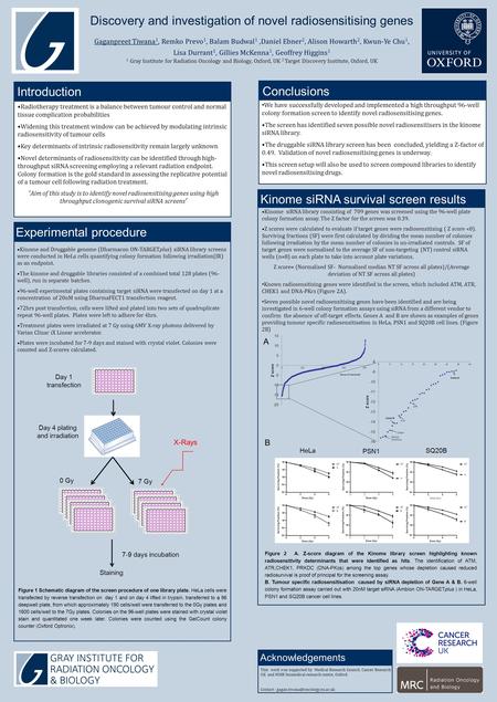 Kinome siRNA survival screen results Acknowledgements Discovery and investigation of novel radiosensitising genes Gaganpreet Tiwana 1, Remko Prevo 1, Balam.