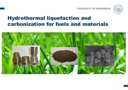 Content: Hydrothermal conversion: - overview - carbonization - liquefaction chemicals Conclusion Feedstock: