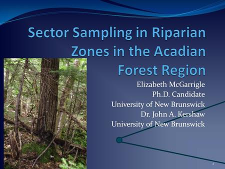 1 Elizabeth McGarrigle Ph.D. Candidate University of New Brunswick Dr. John A. Kershaw University of New Brunswick.