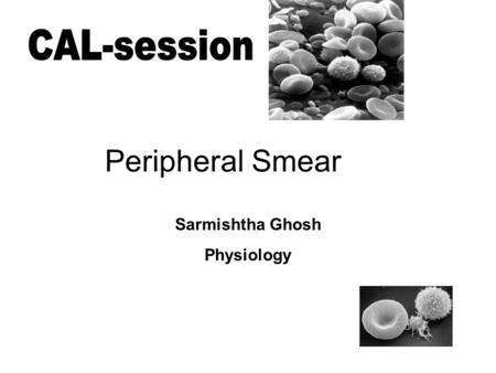 Sarmishtha Ghosh Physiology