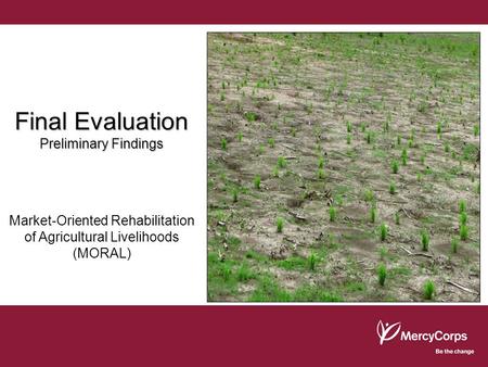 Final Evaluation Preliminary Findings Market-Oriented Rehabilitation of Agricultural Livelihoods (MORAL)