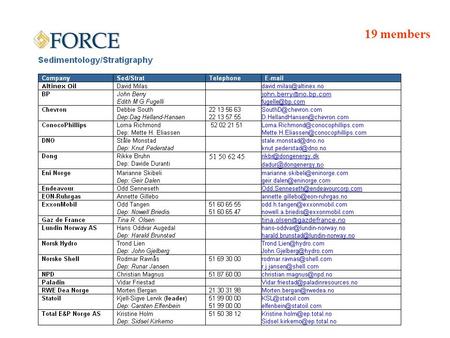 19 members. SED/STRAT: Since last board meeting  0 meetings  2 Work shops  1 Field trip  Digital data base for outcrop data  Consortiums – status.