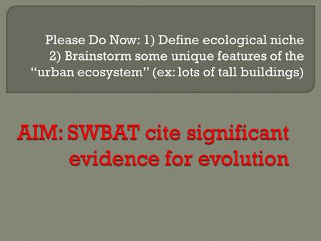 Please Do Now: 1) Define ecological niche 2) Brainstorm some unique features of the “urban ecosystem” (ex: lots of tall buildings)