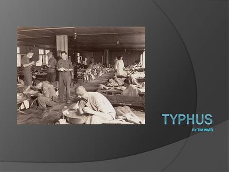 What is Typhus?  Chills  Cough  High Fever  Joint Pain  Low BP  Severe Headache/Muscle Pain  Stupor  Delirium  Rash that begins on chest and.