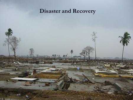 Disaster and Recovery. Australia’s Emergency Response Emergency task force established Emergency task force established AusAssist Plan activated AusAssist.