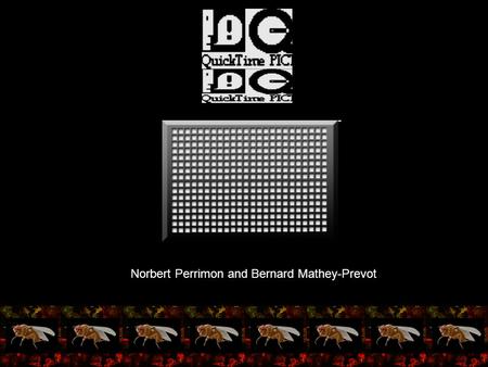 Project 3: Functional validation of ncRNAs Norbert Perrimon and Bernard Mathey-Prevot.