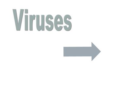 A virus is a piece of software tht is designed to copy itself onto other programs causing them to function differently. In the 80’s, when the viruses.