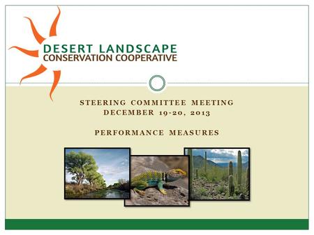 STEERING COMMITTEE MEETING DECEMBER 19-20, 2013 PERFORMANCE MEASURES.