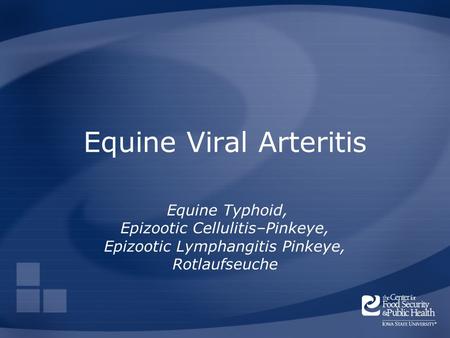 Equine Viral Arteritis Equine Typhoid, Epizootic Cellulitis–Pinkeye, Epizootic Lymphangitis Pinkeye, Rotlaufseuche.