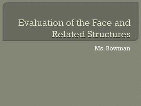 Ms. Bowman.  Bones Frontal, maxillary, nasal, zygomatic, temporal, mandible.