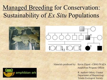 Managed Breeding for Conservation: Sustainability of Ex Situ Populations Kevin Zippel - CBSG/WAZA Amphibian Program Officer Materials produced by: R. Andrew.