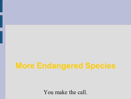 More Endangered Species You make the call.. Apache Trout  Good eating!!!  Over-fished  Loss of habitat & competition with non-native species  Found.