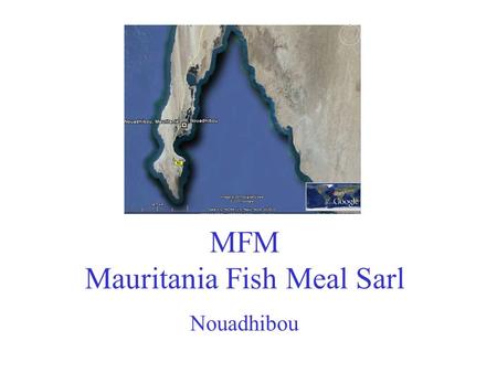 MFM Mauritania Fish Meal Sarl Nouadhibou. Localisation: The coastal City, Nouadhibou in North of Mauritania. According to FAO is the Mauritanian fishing.