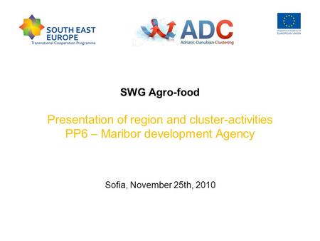 SWG Agro-food Presentation of region and cluster-activities PP6 – Maribor development Agency Sofia, November 25th, 2010.