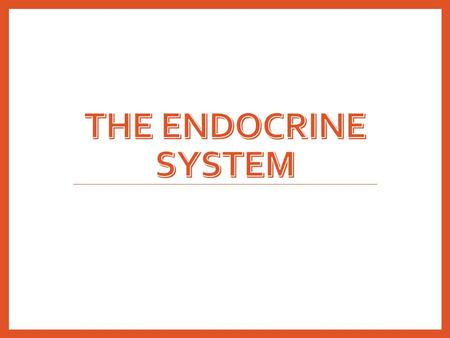 The Endocrine System.