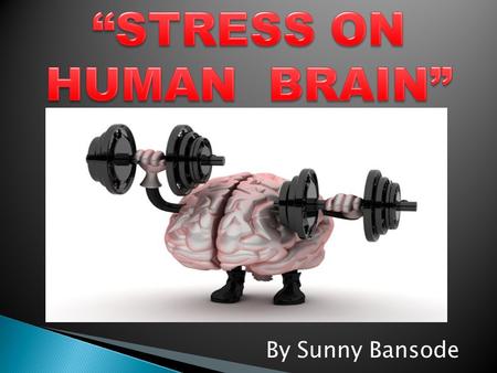 By Sunny Bansode. Facts about the Human Brain The human brain is the largest brain of all vertebrates relative to body size It weighs about 3 pounds (1.4.