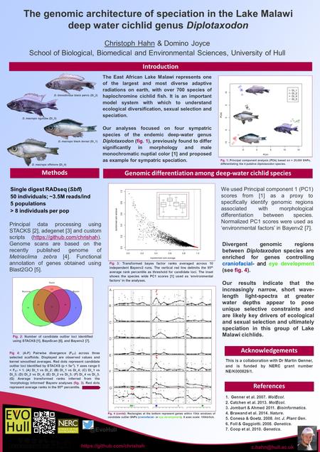 The East African Lake Malawi represents one of the largest and most diverse adaptive radiations on earth, with over 700 species of haplochromine cichlid.