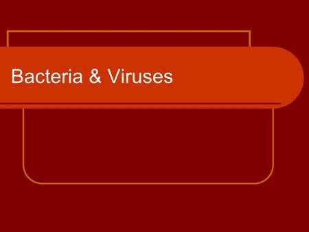 Bacteria & Viruses. Bacteria The earliest known fossils are of 3.5 billion year old bacteria Most bacteria come in 1 of 3 possible shapes: spherical,