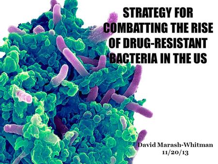 David Marash-Whitman 11/20/13. KPC (Klebsiella pneumoniae carbapenemase) 18 infected patients 6 fatalities complete drug resistance persistent presence.