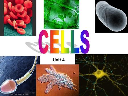 CELLS Unit 4.