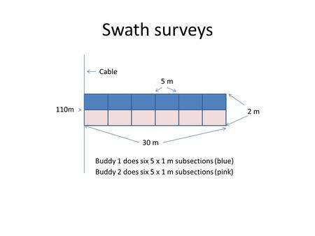 Swath surveys. Linking Swath to UPC 10 points counts Species, Substrate, Relief Section 1Section 2Section 3Section 4Section 5Section 6.