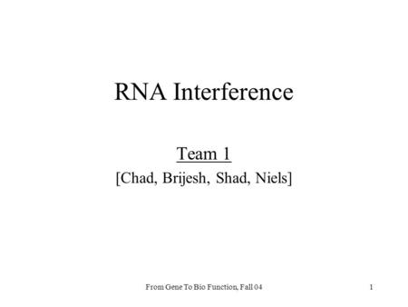 From Gene To Bio Function, Fall 041 RNA Interference Team 1 [Chad, Brijesh, Shad, Niels]