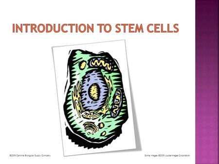 ©2009 Carolina Biological Supply CompanySome images ©2009 Jupiterimages Corporation.