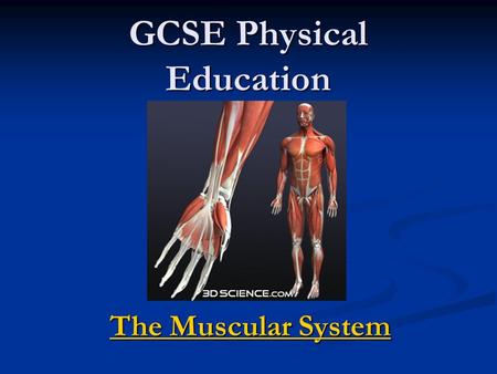 GCSE Physical Education