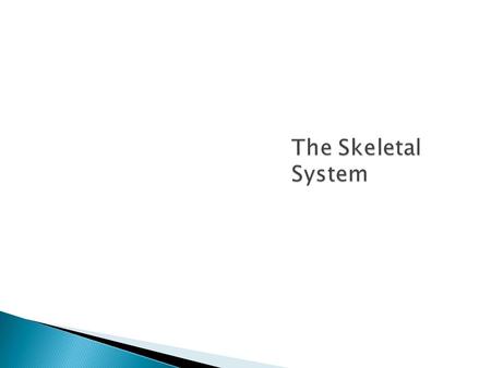  Parts of the skeletal system ◦ Bones (skeleton) ◦ Joints ◦ Cartilages ◦ Ligaments  Two subdivisions of the skeleton ◦ Axial skeleton ◦ Appendicular.