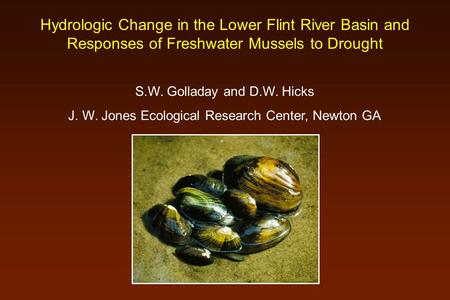 Hydrologic Change in the Lower Flint River Basin and Responses of Freshwater Mussels to Drought S.W. Golladay and D.W. Hicks J. W. Jones Ecological Research.