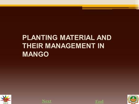 PLANTING MATERIAL AND THEIR MANAGEMENT IN MANGO Next End.