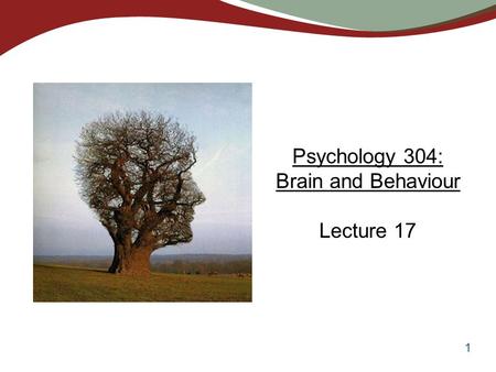 1 Psychology 304: Brain and Behaviour Lecture 17.