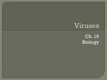 Ch. 19 Biology.  Bacteria are prokaryotes w ith cells much smaller and more simply organized than those of eukaryotes  Viruses a re smaller and simpler.