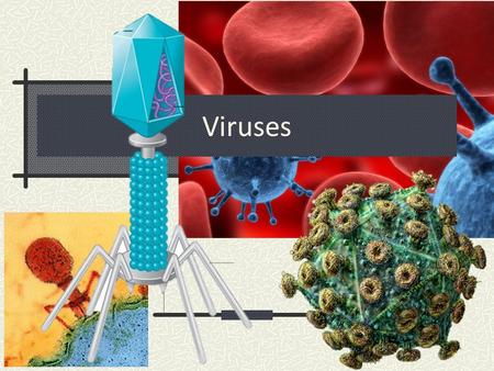 Viruses.