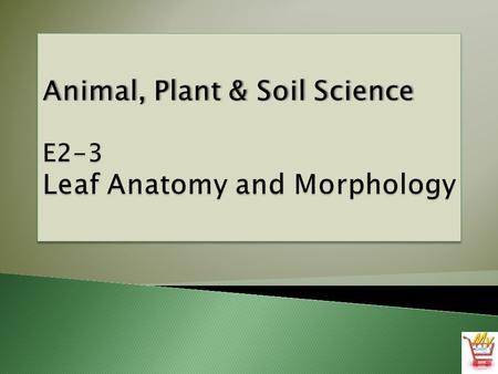  Bring several different leaves or plants with different leaves into class. Ask students to compare and contrast the leaves. Use student responses to.