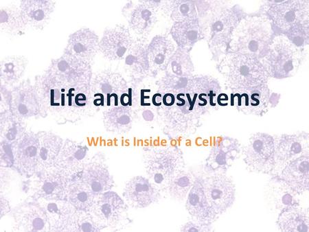 Life and Ecosystems What is Inside of a Cell?.