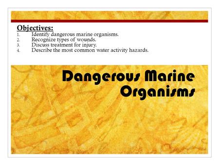 Dangerous Marine Organisms Objectives: 1. Identify dangerous marine organisms. 2. Recognize types of wounds. 3. Discuss treatment for injury. 4. Describe.