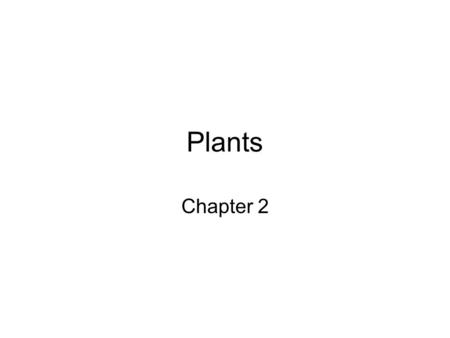 Plants Chapter 2. A Plant Cell’s Unique Organelles Cell Wall Chloroplasts Chlorophyll A single vacuole.