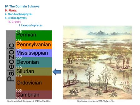 IV. The Domain Eukarya D. Plants: 4. Non-tracheophytes.