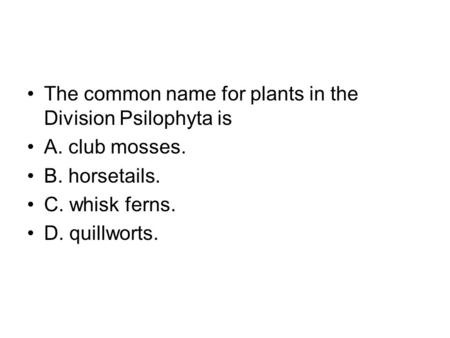 The common name for plants in the Division Psilophyta is