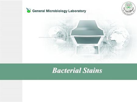 Bacterial Stains.