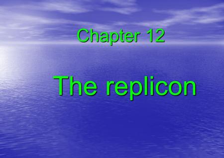 Chapter 12 The replicon.