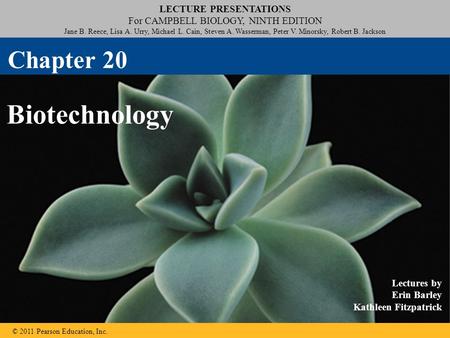 LECTURE PRESENTATIONS For CAMPBELL BIOLOGY, NINTH EDITION Jane B. Reece, Lisa A. Urry, Michael L. Cain, Steven A. Wasserman, Peter V. Minorsky, Robert.