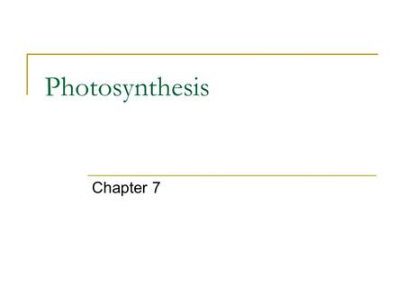 Photosynthesis Chapter 7.